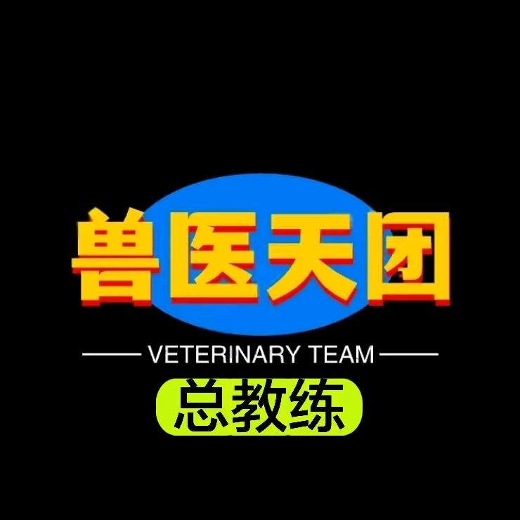 兽医天团（抖音团队）：总教练