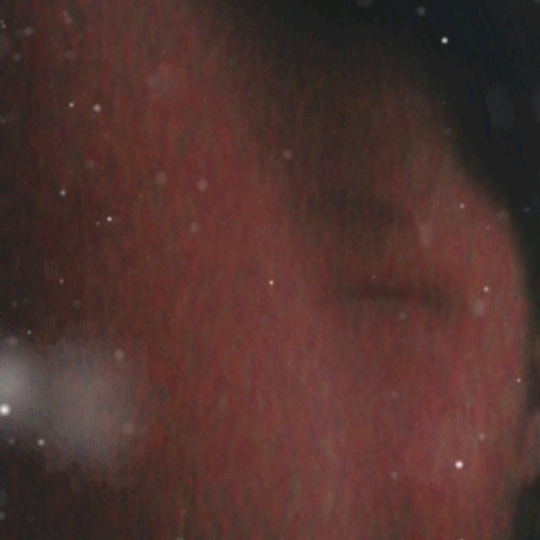 快乐牛牛98