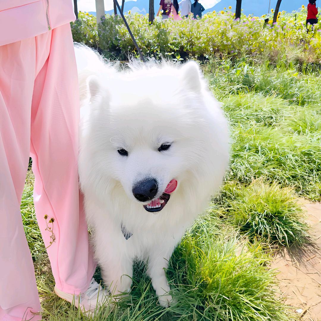 🥀᭄时光꧔ꦿᩚ💞清浅ꦿྀ