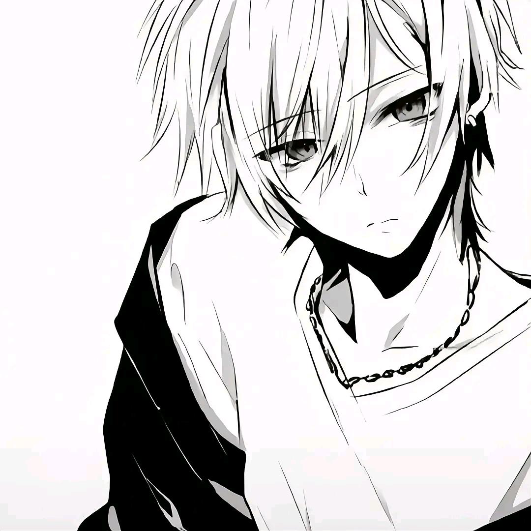 WKryptic
