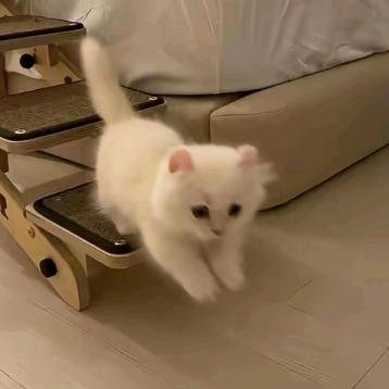 u有点小脾气ꪔ̤̮