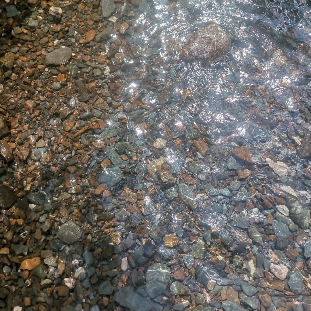 子非鱼也  安知鱼之乐乎