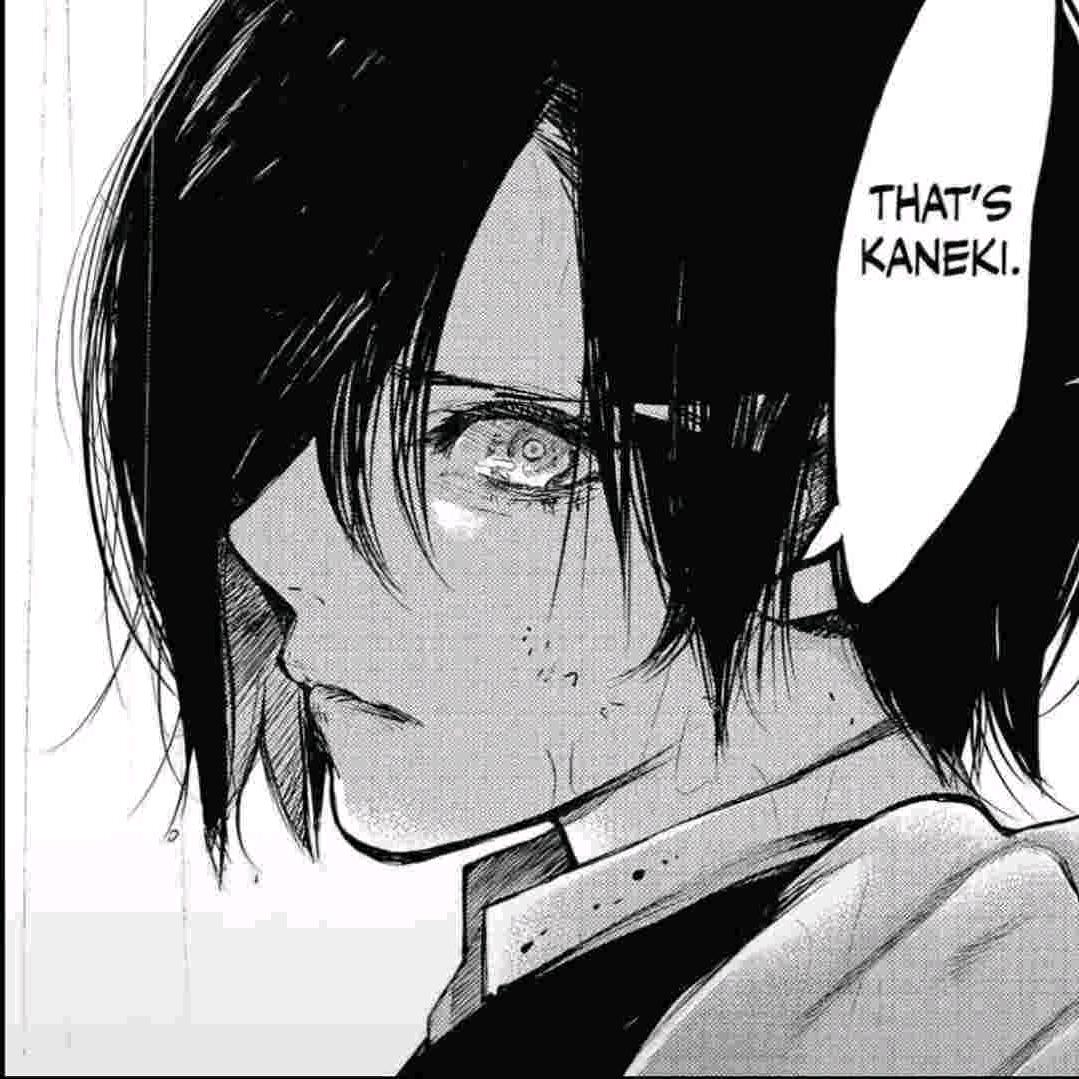 下水道的死老鼠