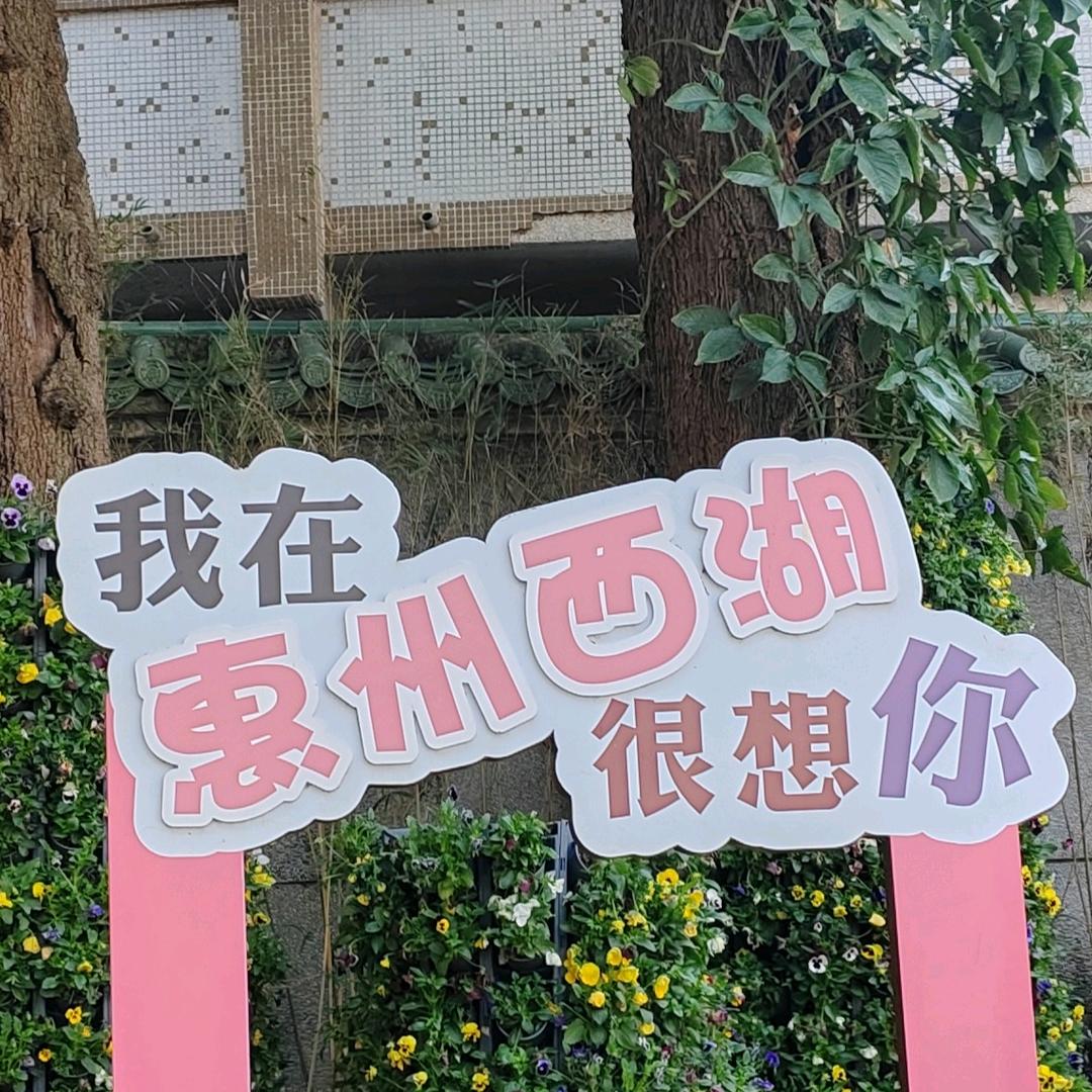 懒🉐起名