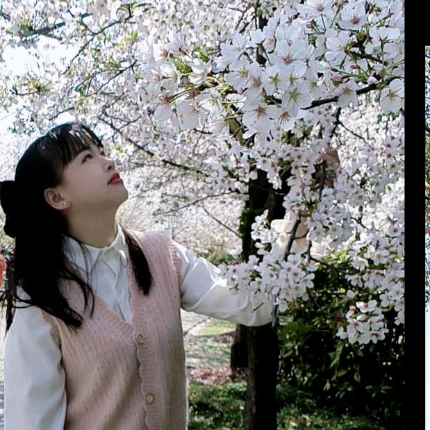 秦★家★幺★妹