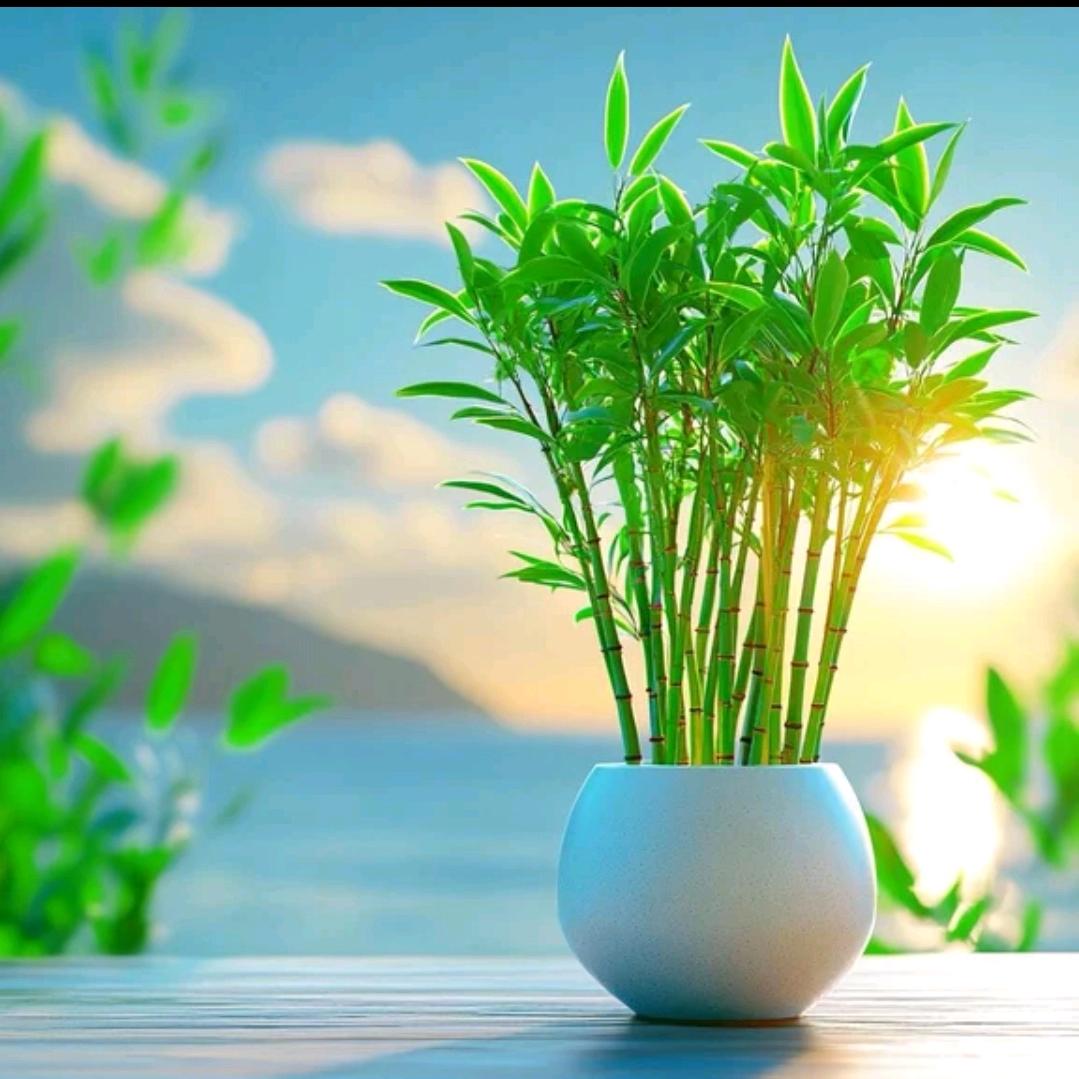 流动的盛宴