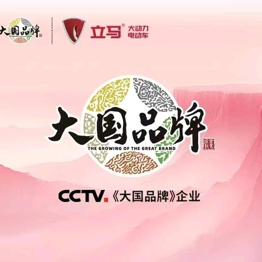 刘振屯新集立马电动车