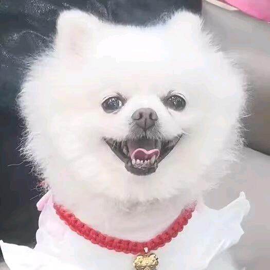 雪钰儿麻麻