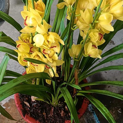 守护你从始至终