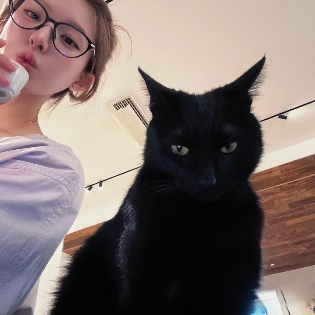 吃烤鱼的猫