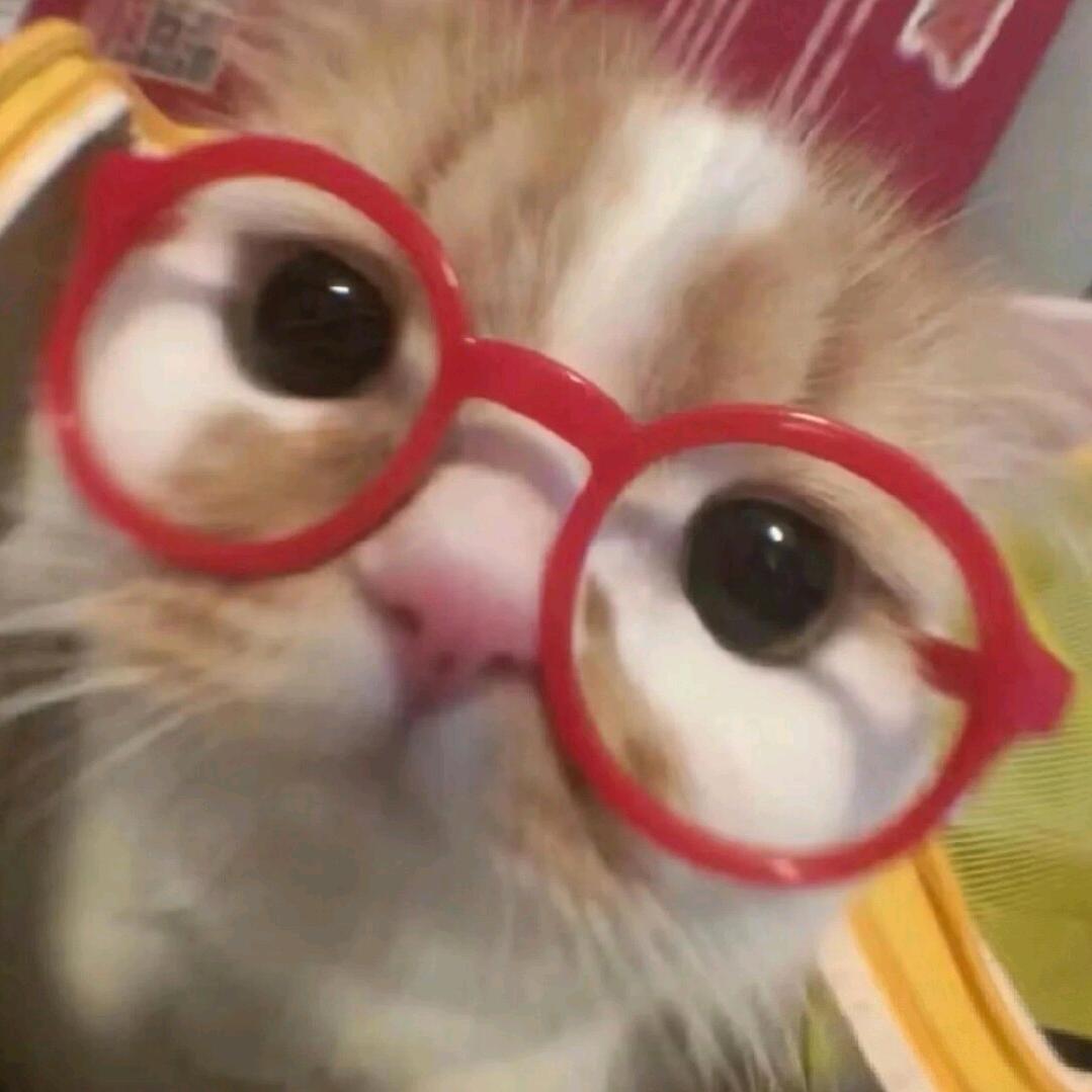 耀💞