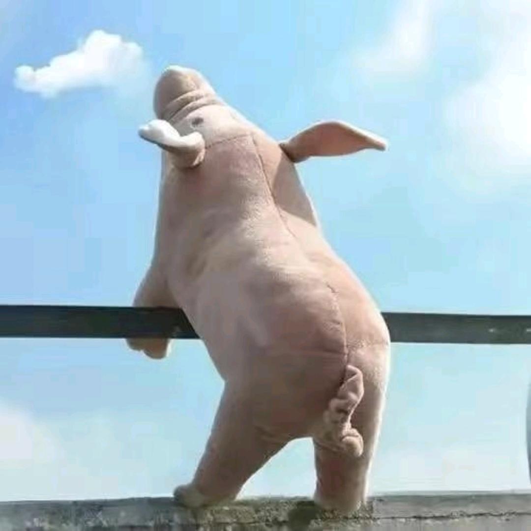 𝒌