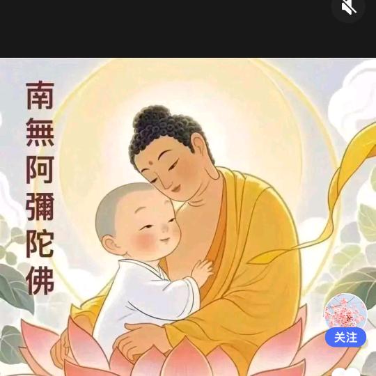 禅悟