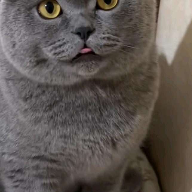 ☞有☜♛☞痕☜♛