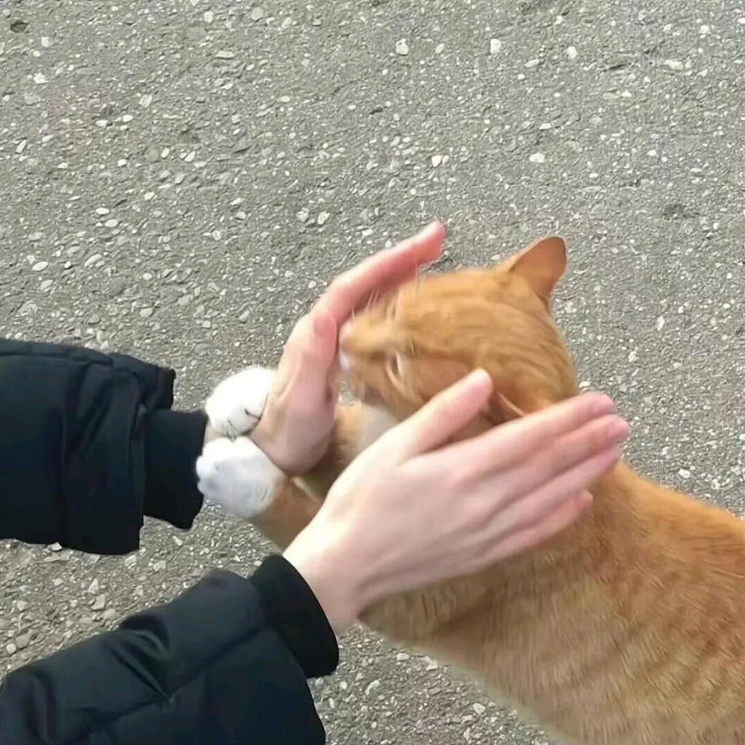 凉