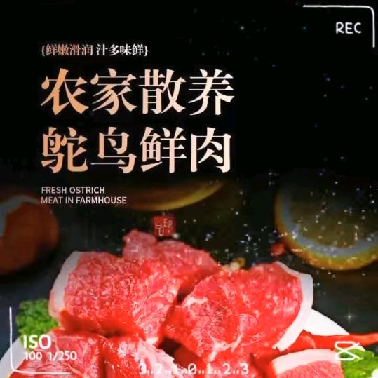 农民鸵鸟哥