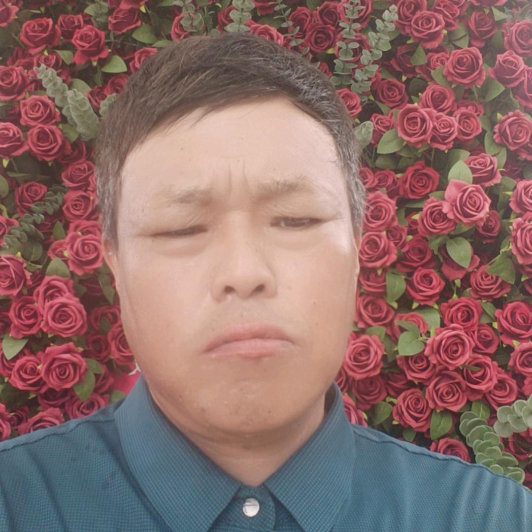 步步髙升