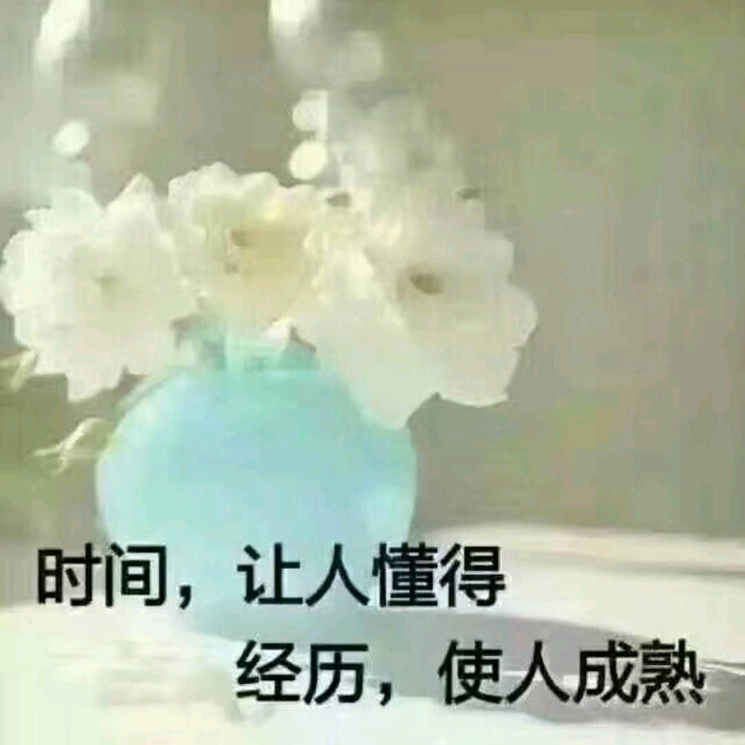 贺喜👻