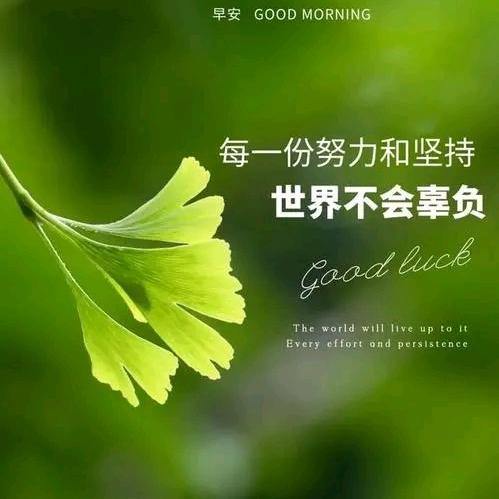拼搏