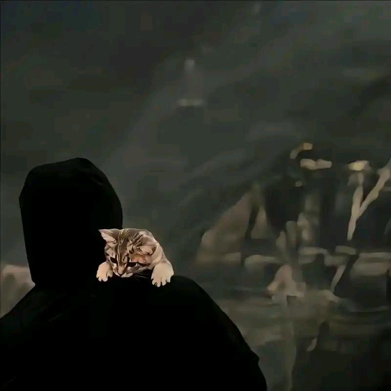 ::ೖ(⑅σ̑ᴗσ̑)ೖ::简(・︡ω单