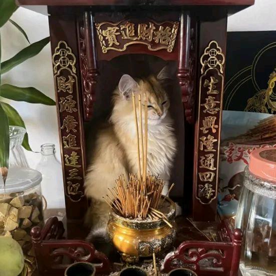 南宫肠万