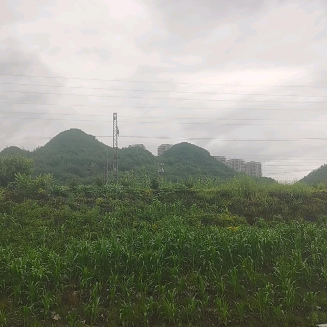 人海游