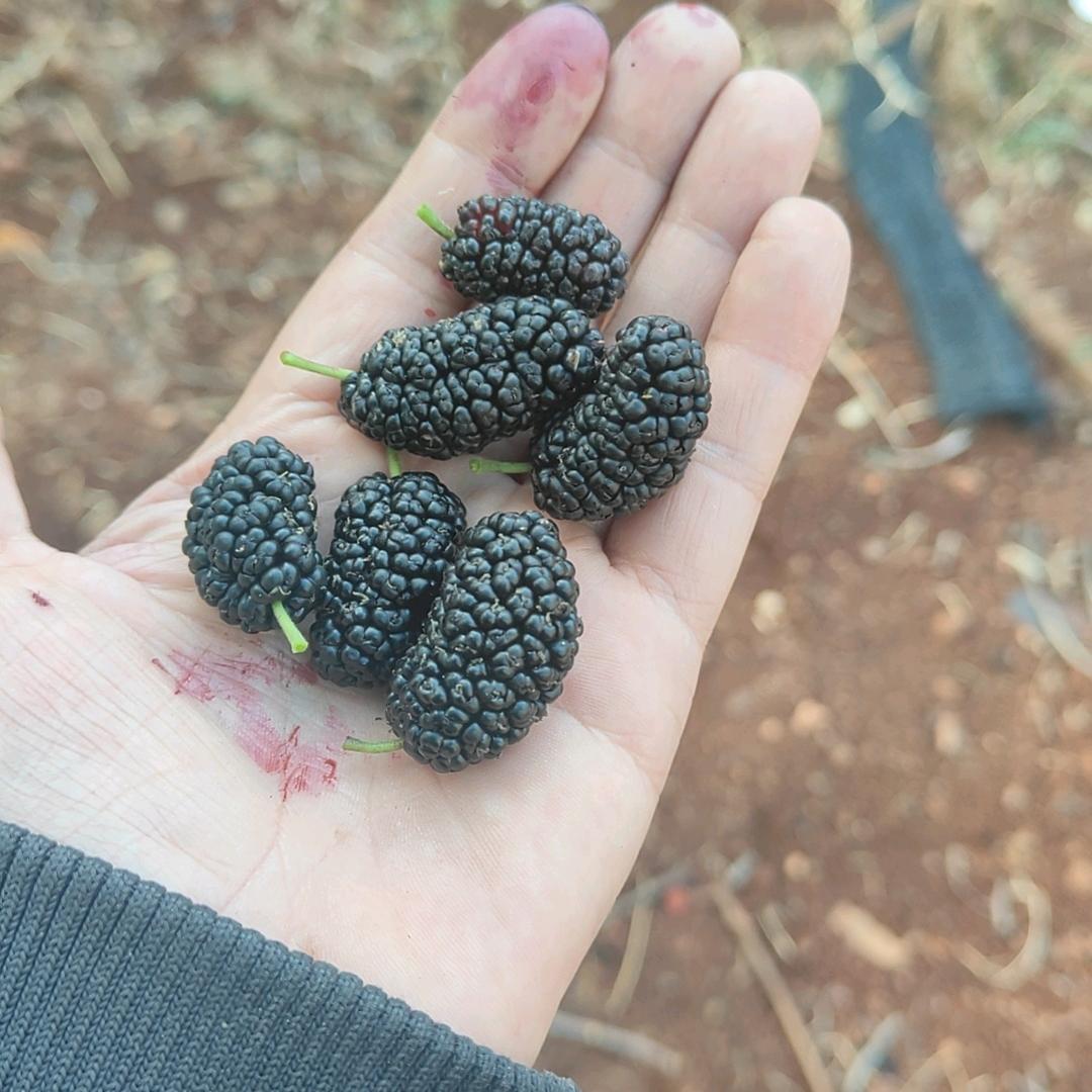 断情ງ໐໐໓ ຖiງht🌛封爱