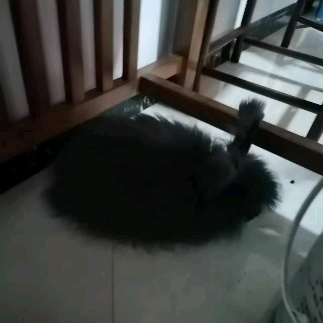 咸鱼只想摆烂ˣʸ🌥️