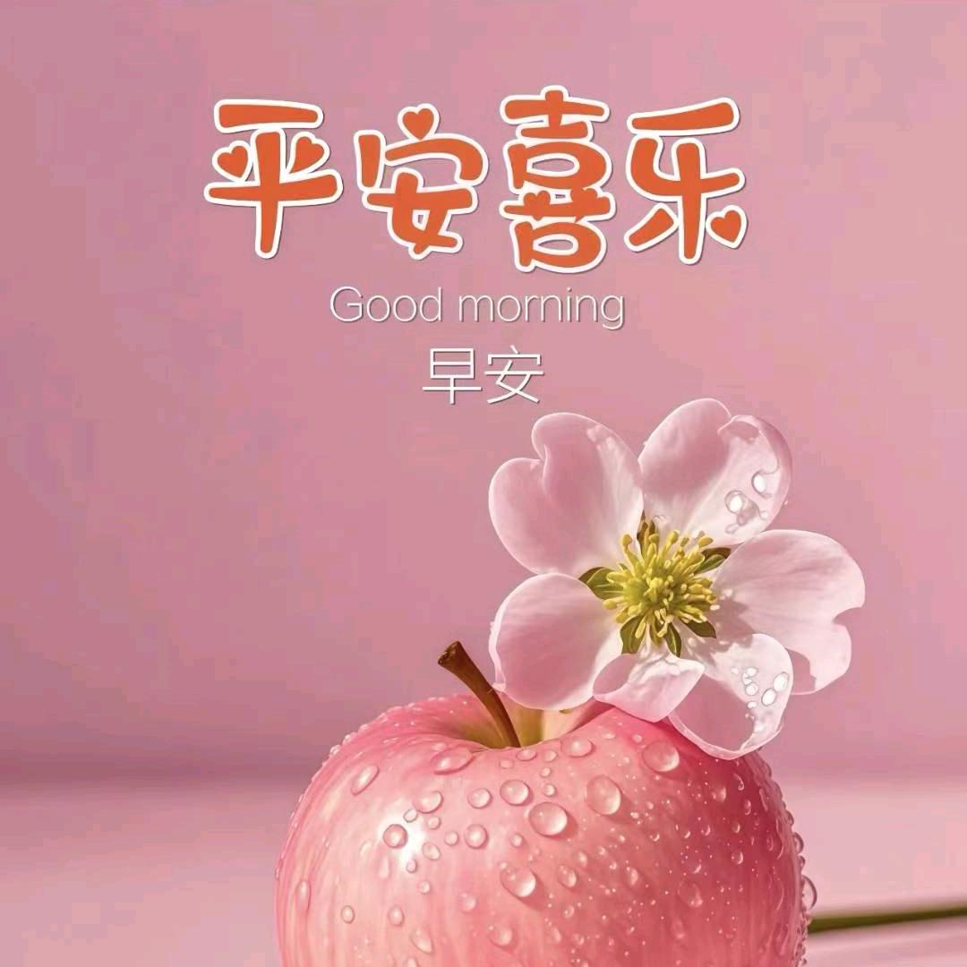 平安(拒绝私聊)