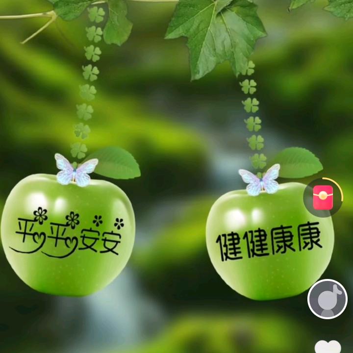 正义的琨家军，，，，，，，，，，铿锵玫瑰