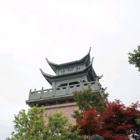 爱说大实话