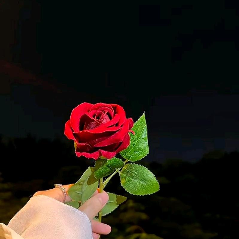 微醺小猫♡ ᒪ∅ᐯᕮ ♡