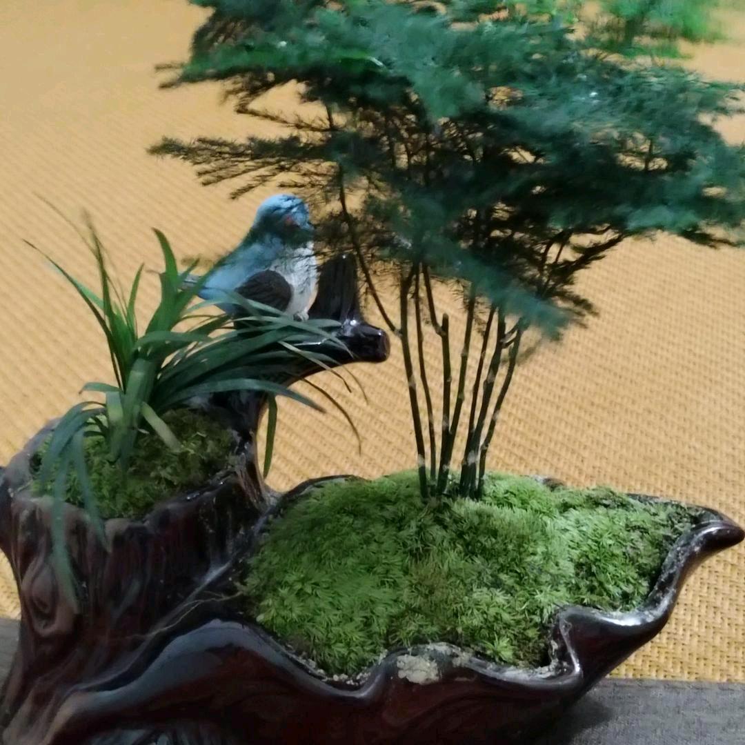 四川幺妹