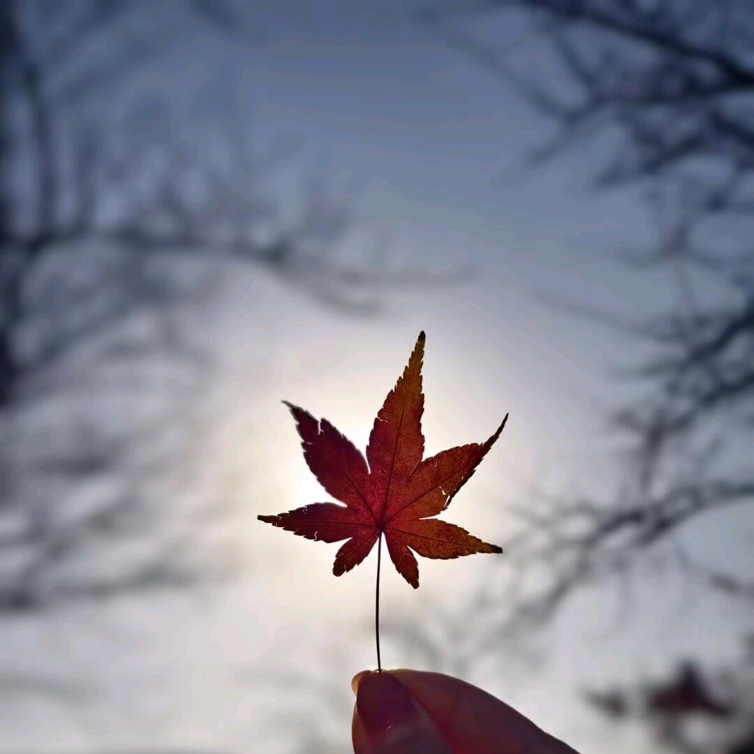 昵♪好
