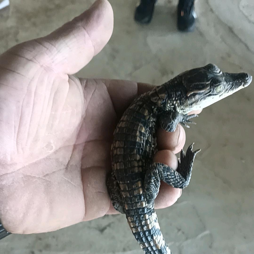 沈阳市沈北新区鑫天邦水产养殖场