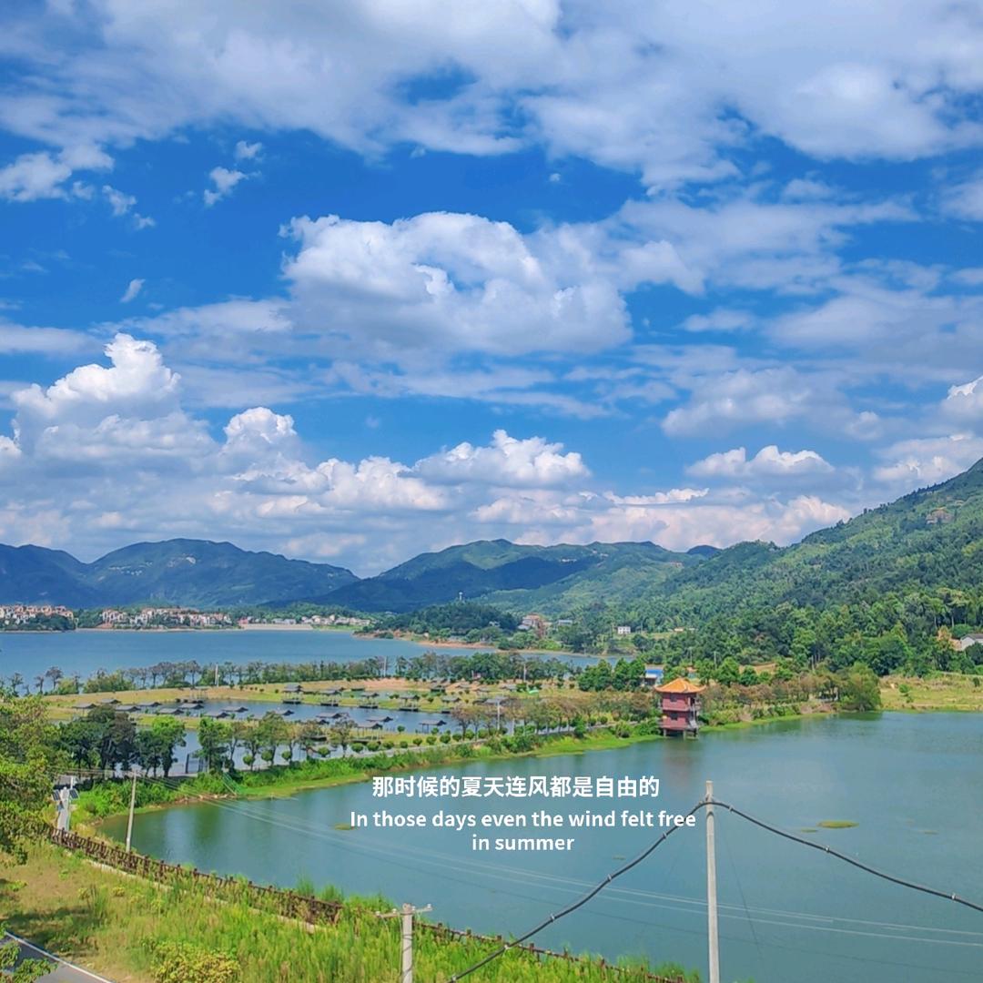 陈心安