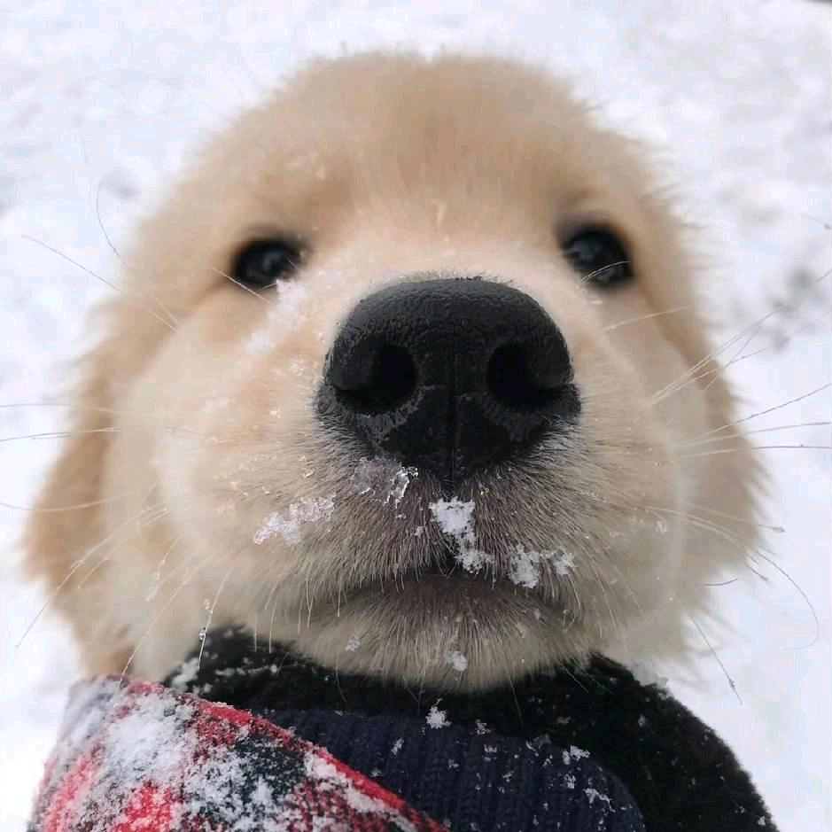 ℳঞ ꦿ杰 ໌້ᮨ꧔ꦿ᭄💕