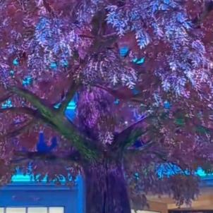 陶陶，明天会更好🌹🌹🌹