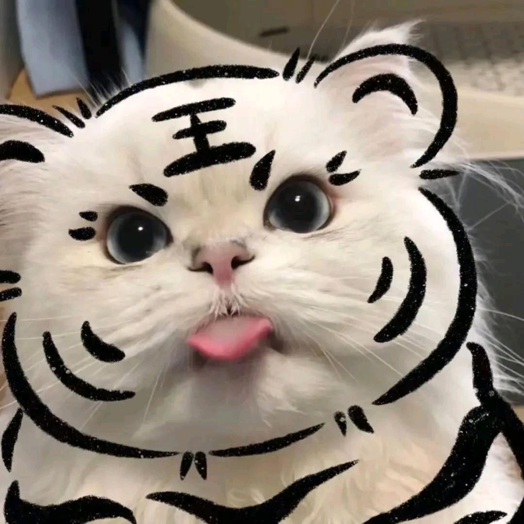 云平乐购