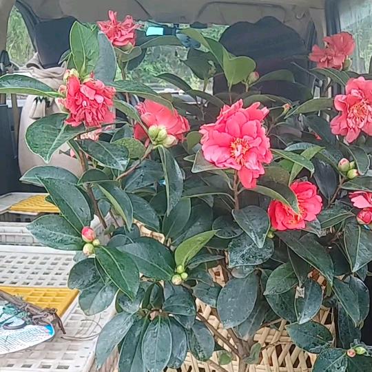 幸福就是遇到您