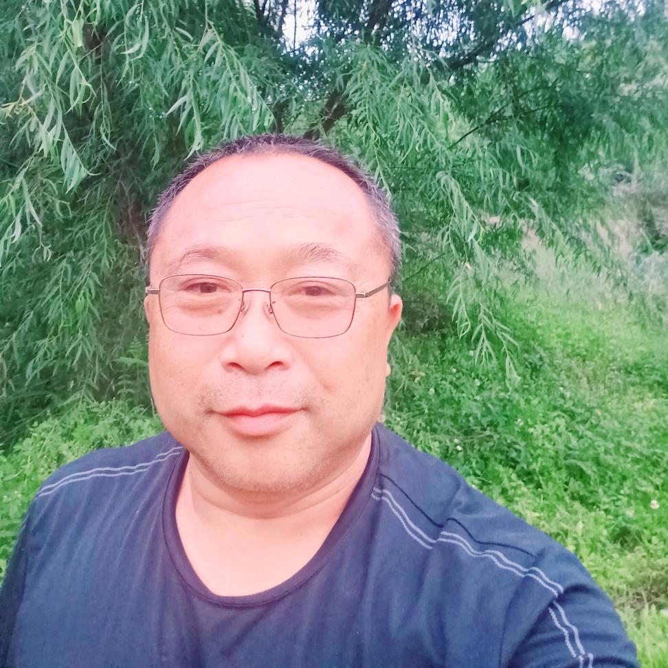 赵新