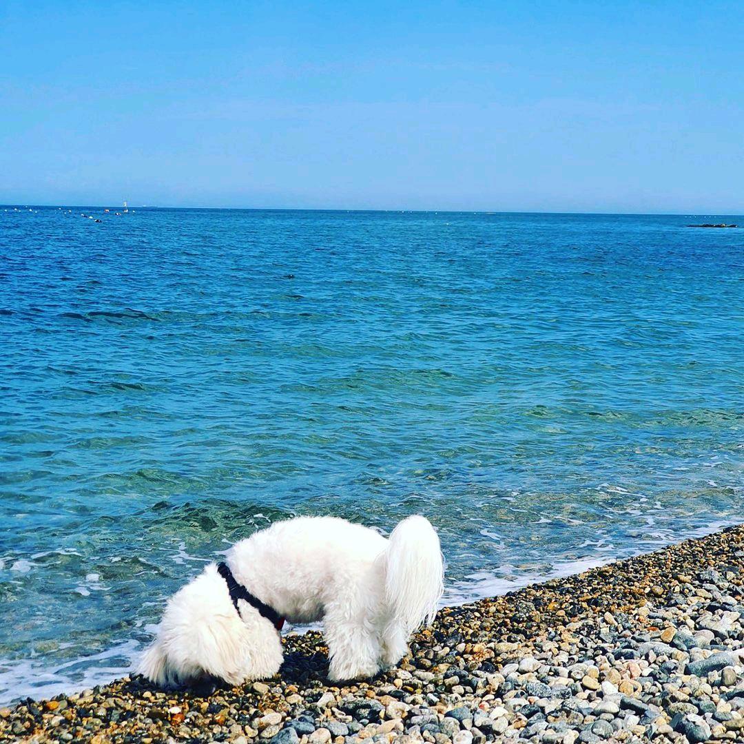 钞票很多张女士