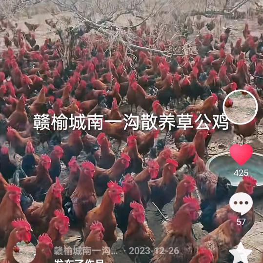 赣榆城南一沟古道农庄