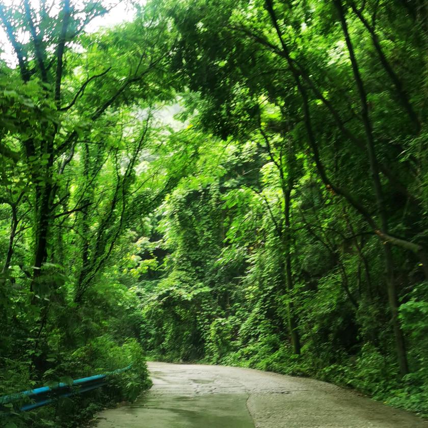 小汤