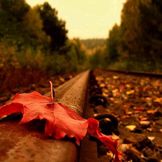 এº᭄ 最💞初༊