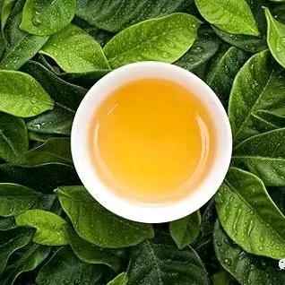 金陵茶室