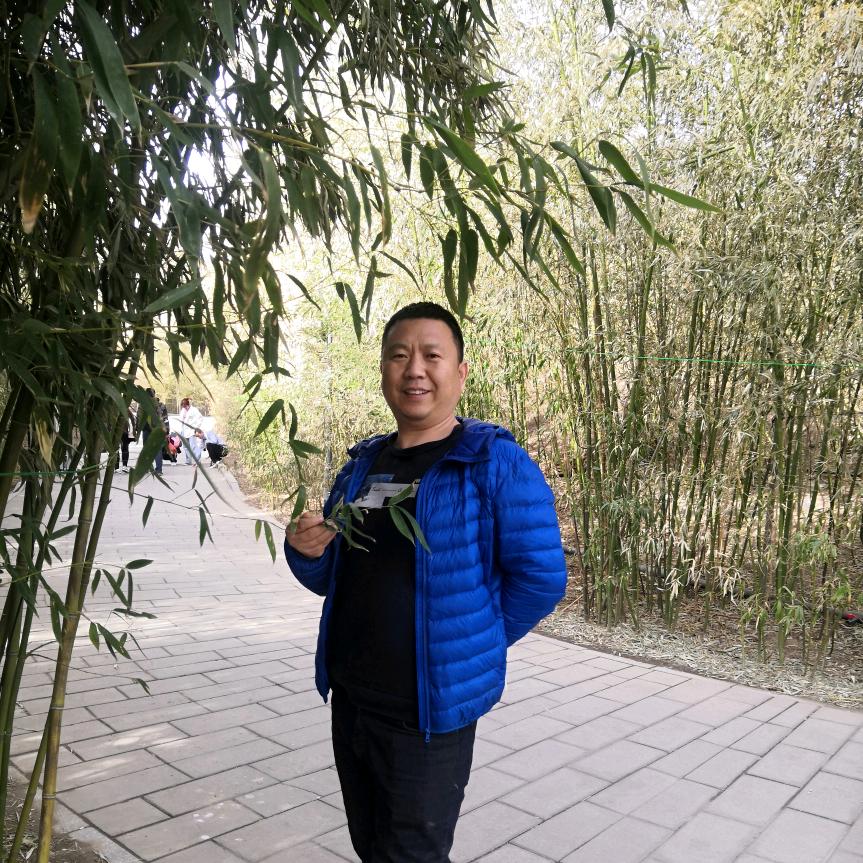 踏雪无痕你好