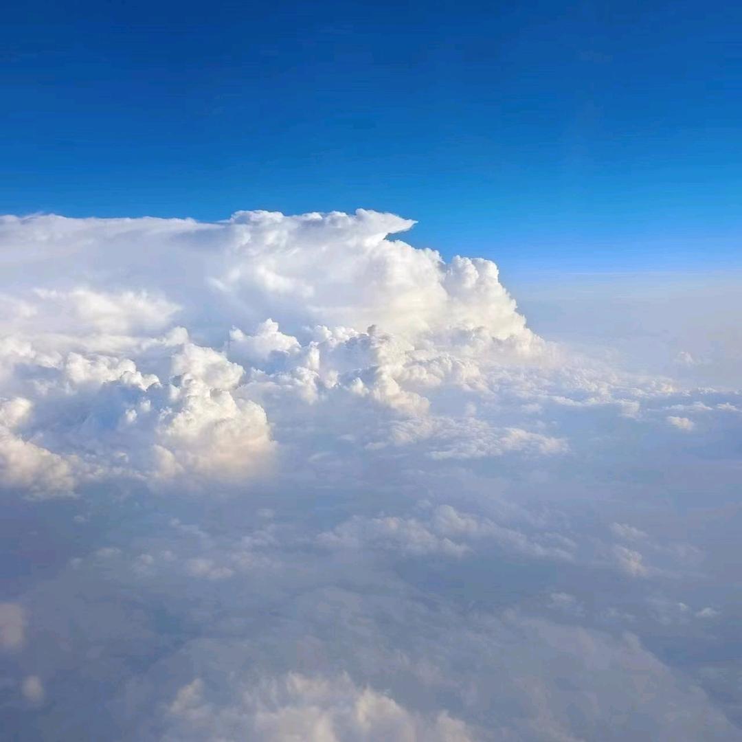 今生有你就足够