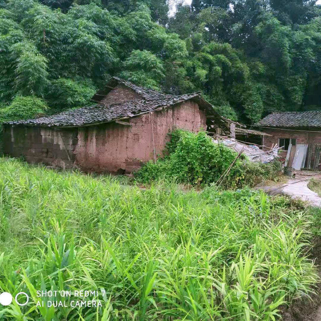 梦境如烟