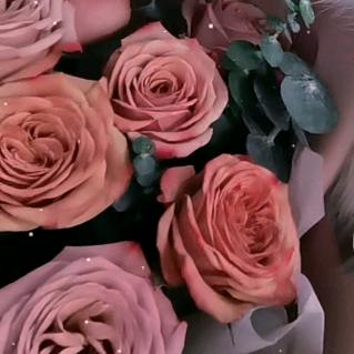 红尘一梦（生活号）